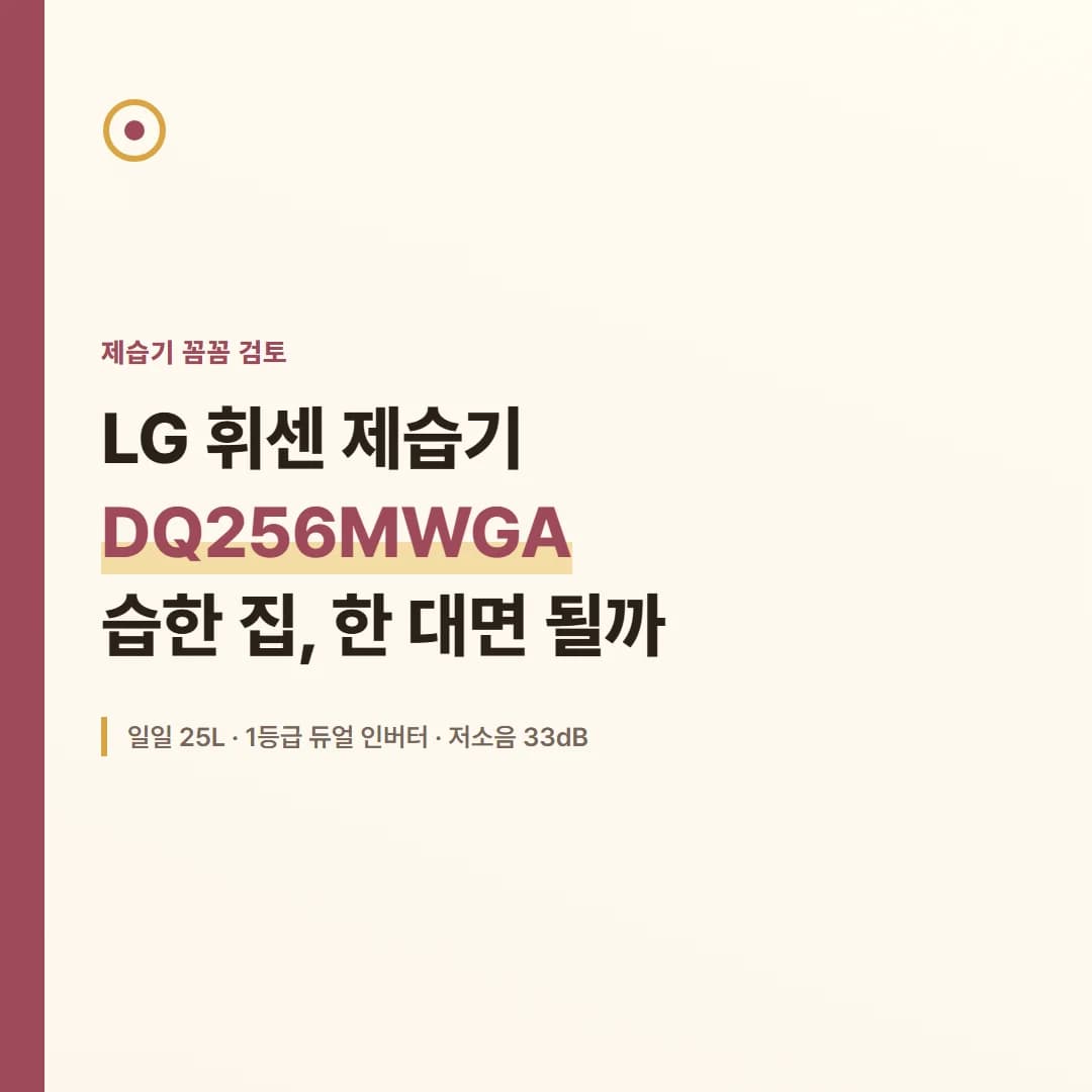 LG 휘센 제습기 DQ256MWGA - 습한 집, 한 대면 될까