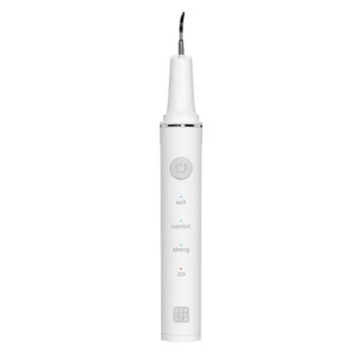 덴탈픽 DP-Dental