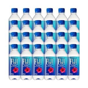 NaturalWaterbt 피지 워터 330ml