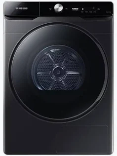 삼성전자 건조기 DV21DG8600BV