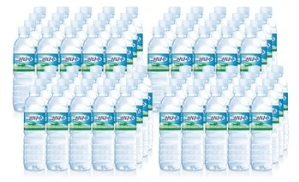 광동제약 제주삼다수 유라벨 500ml 80펫 무/유라벨 랜덤