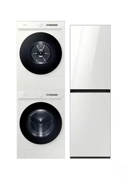 삼성전자 비스포크 AI WF24CB8850BE + DV22DB8890BE + 에어드레서 DF24CB9600WR