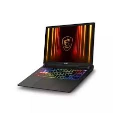 MSI 벡터 A16 HX A8WHG-R9 QHD+ WIN11 64GB램